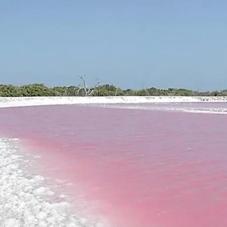 Beautiful Near Lamata With Panorama Sea View!!! 公寓 *